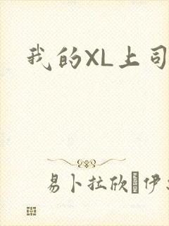我的XL上司