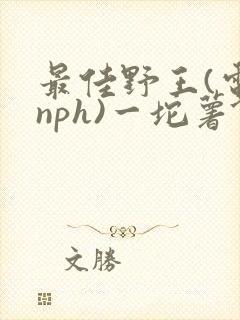 最佳野王(电竞nph)一坨薯饼