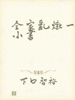 全家乱炖一锅烩小书
