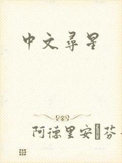 中文寻星