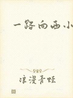 一路向西小说