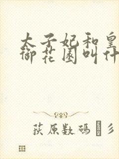 太子妃和皇帝在御花园叫什么小说