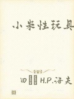 小米性玩具日记