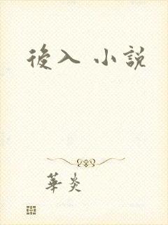 后入 小说