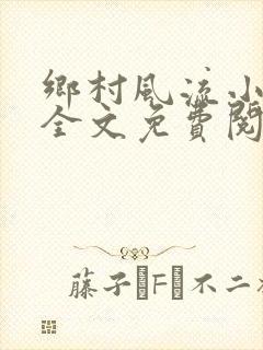 乡村风流小傻子全文免费阅读