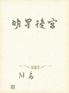 明星后宫