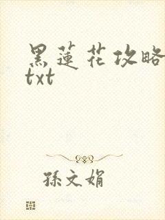 黑莲花攻略手册txt