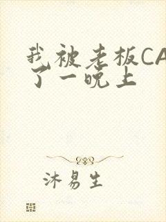 我被老板CAO了一晚上