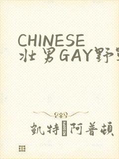 CHINESE壮男GAY野战强迫TUBE