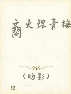 文火煨青梅笔趣阁