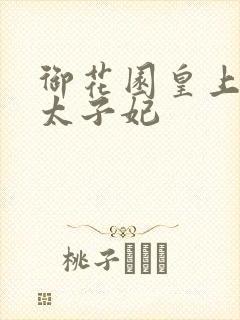 御花园皇上撞着太子妃