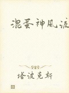 混蛋神风流史补