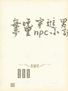 每晚穿进男神的梦里npc小说