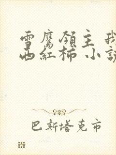 雪鹰领主 我吃西红柿 小说