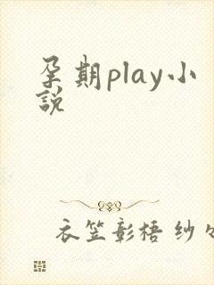 孕期play小说