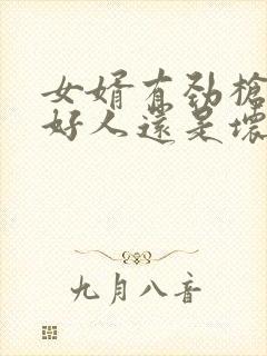 女婿有劲枪枪是好人还是坏人