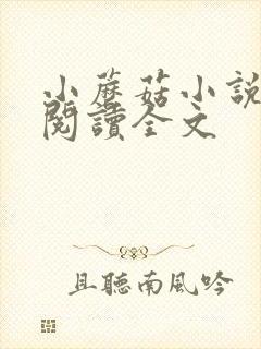 小蘑菇小说免费阅读全文