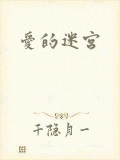 爱的迷宫