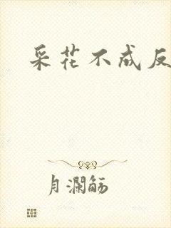 采花不成反被采