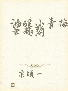 酒酿小青梅po笔趣阁