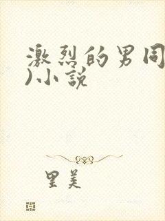 激烈的男同(h)小说