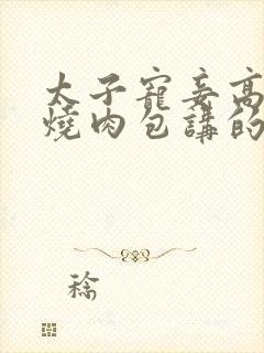 太子宠妾高肉红烧肉包讲的什么