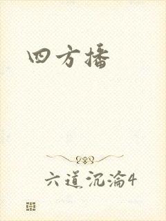 《四方播》小说封面