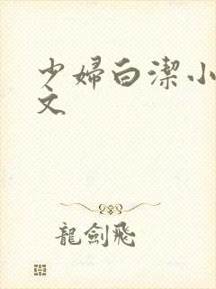 少妇白洁小说全文