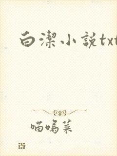 白洁小说txt