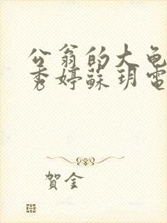 公翁的大龟挺进秀婷苏玥电影