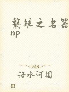 系统之名器攻略np