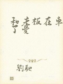 和老板在车里做了爱