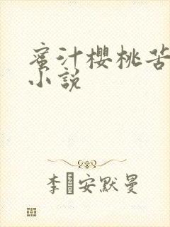 蜜汁樱桃苦咖啡小说