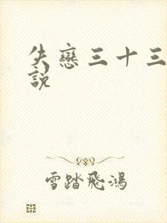 失恋三十三天小说