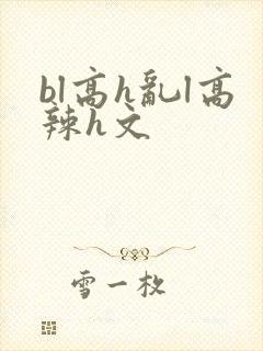 bl高h乱l高辣h文