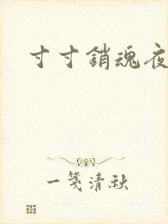 寸寸销魂夜春光