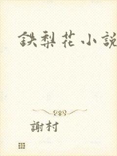 铁梨花小说