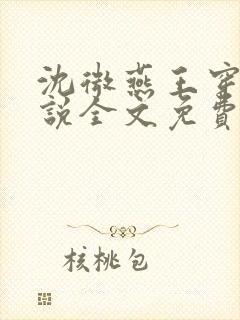 沈微燕王穿越小说全文免费阅读