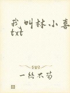 我叫林小喜小说txt