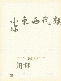 小东西我想弄坏你