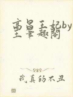 高昌王妃by黛玉笔趣阁