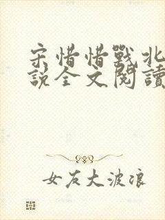 宋惜惜战北望小说全文阅读