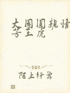 大团圆亲情会王芳王虎封面