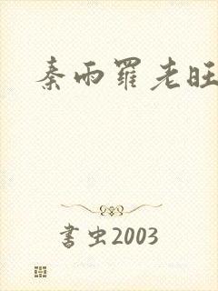 秦雨罗老旺封面