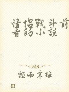 情侣战斗前适合看的小说