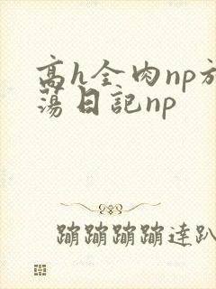高h全肉np放荡日记np