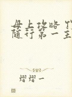 母上攻略 竹影随行第一主板封面