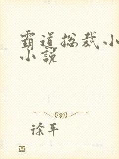 霸道总裁小娇妻小说