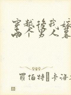 穿越后我嫁给了两个男人暮色酒歌