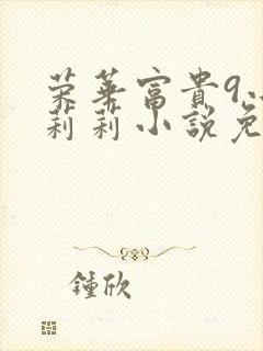 荣华富贵9小王莉莉小说免费阅读